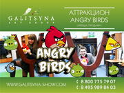 Аттракцион Angry Birds Live Воронеж