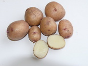 Продажа  семенного картофеля от производителя